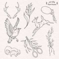 some animals and plants are drawn on paper