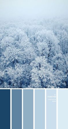 an aerial view of trees covered in snow, with blue hues to the side