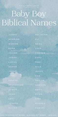 the baby boy biblical names poster