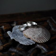 two wedding rings sitting on top of a shell