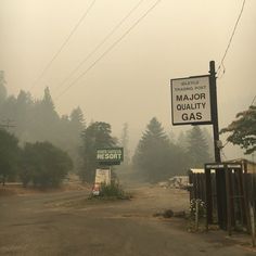 there is a sign that says major quality gas on the side of the road with trees in the background