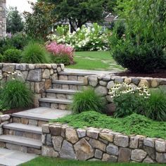 stone steps lead up to a lush green garden