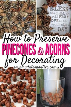 pinecones and acorns for decorating with text overlay that reads how to preserve pinecones & acorns for decor