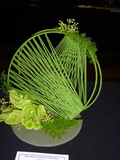 an arrangement of green plants on display in a bowl