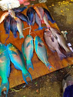 several fish are on a cutting board next to a person's feet and shoes