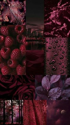 a collage of images with raspberries and water drops on them in red tones