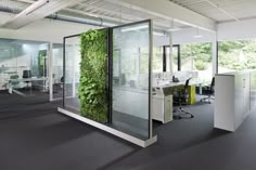 an office with glass walls and plants growing on the wall, along with two desks