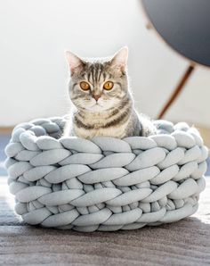 a cat sitting on top of a large white rope bed in the middle of a room