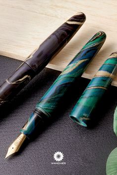 two fountain pens sitting on top of a desk next to a green leafy plant