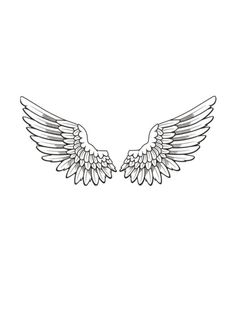 two wings that are drawn in black and white on a white background, each with one wing