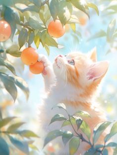 a kitten reaching up to grab an orange from a tree