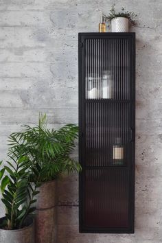 a tall black cabinet sitting next to a potted plant