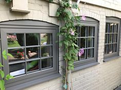 an ivy growing on the side of a building next to two windows with panes in them