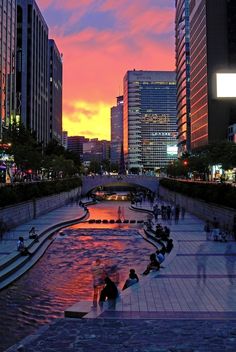 people are sitting on benches next to the water at sunset in a large city with tall buildings