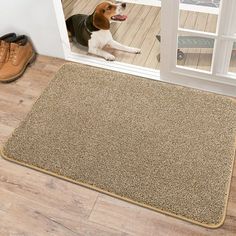 a dog sitting on the floor in front of a door