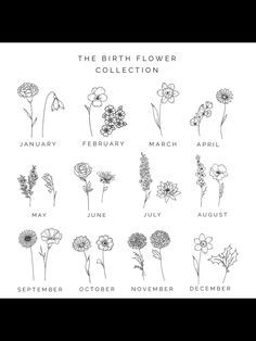 the birth flower collection is shown in black and white