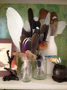 there are many feathers in glass vases on the shelf