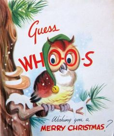 a christmas card with an owl sitting on a tree branch and the words guess who's wishing you a merry christmas