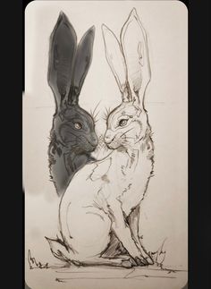 a drawing of two rabbits sitting next to each other