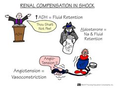 a cartoon depicting the role of an adh in retrieving and reinalting