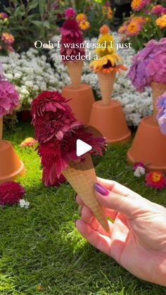 Armstrong Garden Centers on Instagram: "The summer sherbet you didn’t know you needed 🌸🌼🍦Have fun with your flower arranging this ice cream season and make an adorable tablescape with scoops of blooms! 

🍦We used Echinachea double scoops & mophead hydrangeas for this seasons scoops 🌸🌼 Leave a 🩷💜 in the comments if you love this floral display idea! 

#icecreamflower #summerflorals #hydrangeas #echinacea #echinaceadoublescoop #trendingsound #summergardenparty" Hydrangea Strawberry Sundae, Bloom Struck Hydrangea, Sweet Summer Hydrangea, Endless Summer Summer Crush Hydrangea, Hydrangea Bloomstruck, Ice Cream Flower, Mophead Hydrangea, Garden Centers, Summer Garden Party