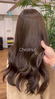 Hair Color For Morena Skin, Hair Color For Tan Skin, Hair Color For Morena, Hair Color For Brown Skin, Hair Color Guide, Hair Tint, Brunette Hair With Highlights