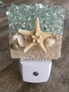 there is a starfish and sea shells on top of a light switch cover in the bathroom