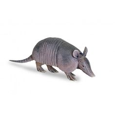 an armadile is standing on its hind legs