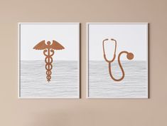 two framed medical art pieces on a wall