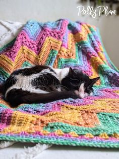 a black and white cat laying on top of a colorful crocheted afghan blanket