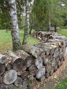 a pile of logs sitting next to a tree