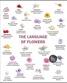 the language of flowers is shown in this poster with different types of flowers and their meanings