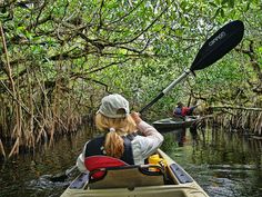 two people in a canoe paddling through the water with trees on either side and oars above their heads