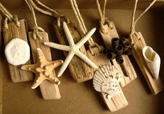 sea shells and seashells are hanging from twine strings on the wall in a box