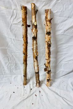 three pieces of wood that have been burned and are sitting on a white sheet covered surface