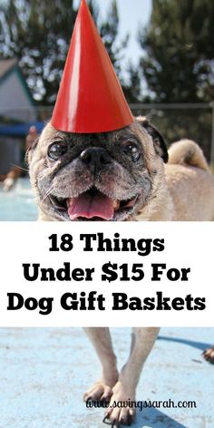 [Promotion] Have Friends Or Family Getting A Dog? Want To Celebrate A Milestone With Your Favorite Pooch? Then, Check Out These 74 Things To Put In Dog Gift Baskets Under $15. Great Dog Gifts For All Sorts Of Pups. #doggiftbasket Dog Gift Basket Ideas, Puppy Gift Basket, Welcome Home Basket, Dog Easter Basket, Get Well Baskets, Getting A Dog