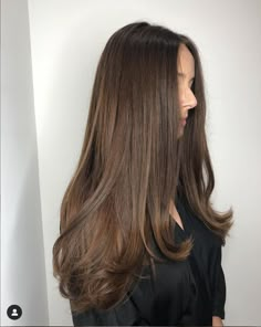 Long Subtle Layered Hair, Long U Shaped Haircut, Light Layers Haircut Long, Long Subtle Layers, Long Blended Layers, Long Soft Layers, Victoria Secret Model Hair, Medium Brown Color