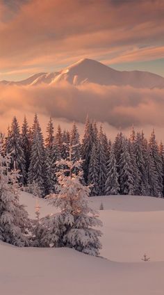 snow covered trees and mountains in the distance with clouds rolling over them at sunset or dawn