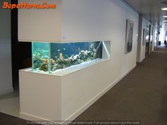 an aquarium is in the middle of a long hallway with white walls and carpeted flooring