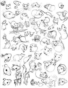 an image of many different animals in the same drawing style, including mice and hamsters