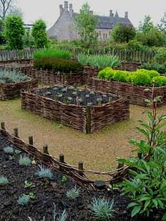 a garden with many different types of plants in the center and small trees around it