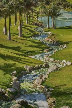 a river running through a lush green field next to palm trees and water surrounded by rocks