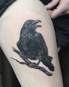 a black bird sitting on top of a tree branch next to a person's leg