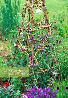 a garden with purple flowers and an old wooden structure made out of sticks in the middle