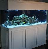 an aquarium is shown in the middle of a room with white cabinets and black flooring