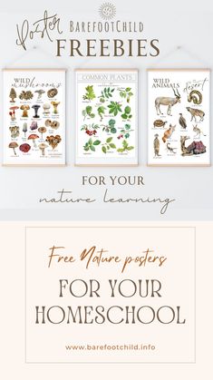 three framed pictures with the words free nature posters for homeschool