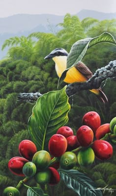 a painting of two birds on a branch with berries and leaves in the foreground