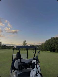 a person sitting in a golf cart on the grass