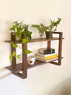 a shelf with plants and books on it