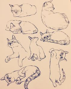 a drawing of cats and kittens laying on top of each other in different positions